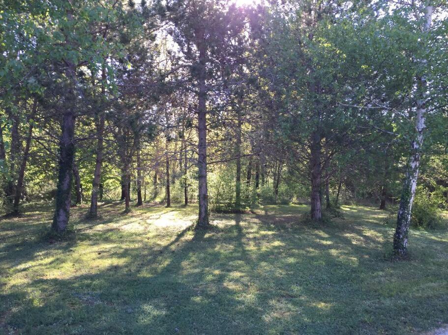 Grande Maison Avec Parc De 6000M2 Pompiey Kültér fotó